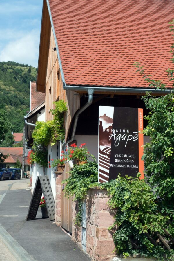 Sylvaner Vieilles vignes – Image 2